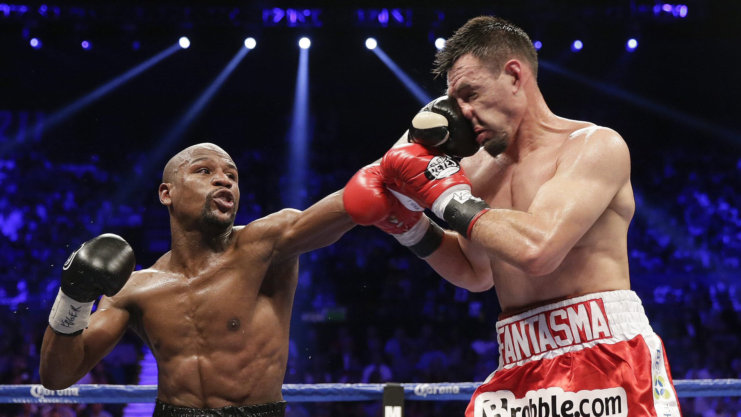 德国队的赛制应对：国际乒联混合团体世界杯挑战与机遇，德国乒乓球职业联赛